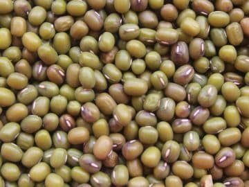 mung beans