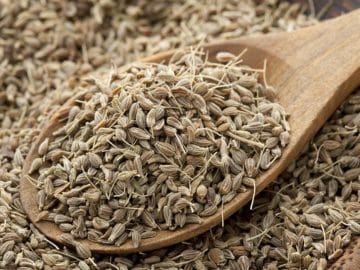 Aniseed whole organic