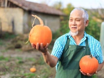 farmer china chinese pumpkin kernels -