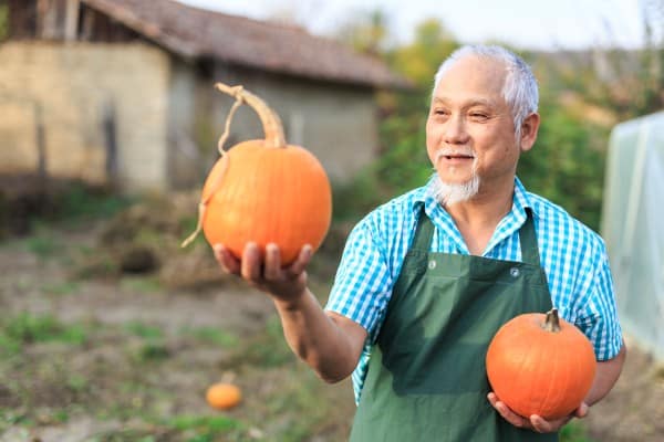 farmer china chinese pumpkin kernels -