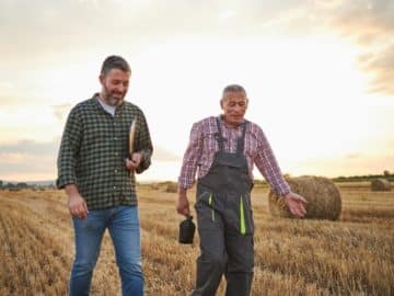 USDA: %68 of Winter Wheat Harvested in USA