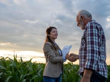 corn maize deal futures insurance