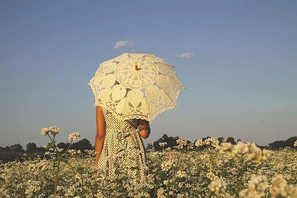 Buckwheat Field