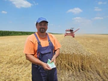 grain markets market harvest farmer wheat export