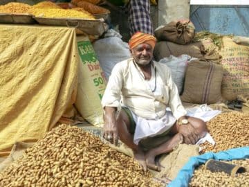 Peanut trader India market - Global Peanut Market Dynamics: Navigating Through Seasonal Shifts and Regional Developments