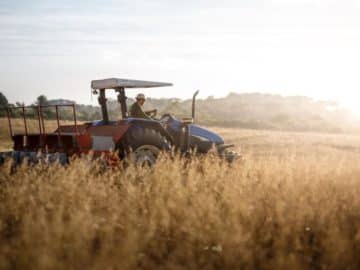 Farmer tractor grain field markets Romania, Hungary and Slovakia Will Not Restrict the Transit of Ukrainian Agriproducts USDA Report not Supportive for Grain Markets