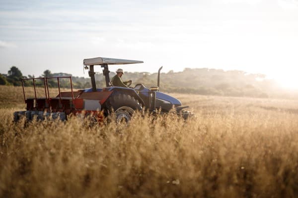 Farmer tractor grain field markets Romania, Hungary and Slovakia Will Not Restrict the Transit of Ukrainian Agriproducts USDA Report not Supportive for Grain Markets