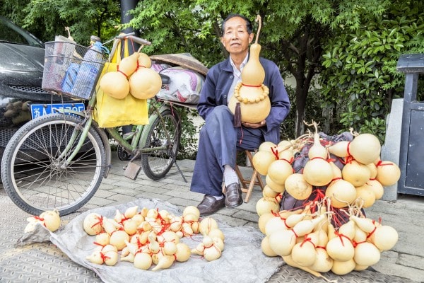 china pumpkin farmer street market kernel