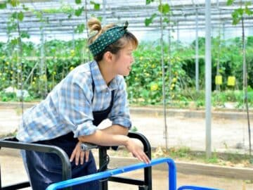 farmer china greenhouse