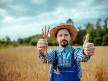 farmer field happy wheat grain