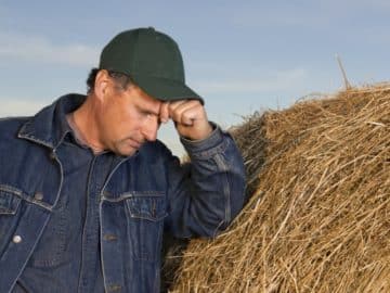 farmer straw desperate concerned