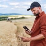 farmer wheat field harvest Italy Imported More Than 1 Million Tons of Canadian Durum Wheat