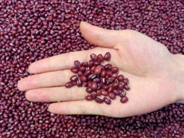 Chinese Adzuki Beans: Forecast Price Stability for the Festival Season