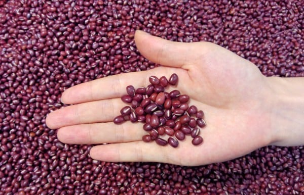 Chinese Adzuki Beans: Forecast Price Stability for the Festival Season