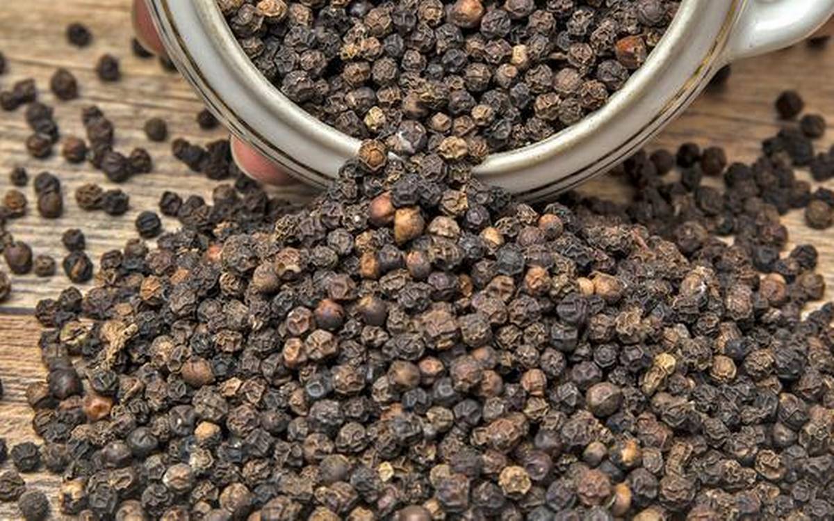 Black Pepper Market Price Remains Steady Commodity Board Europe GmbH
