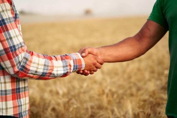 farmer trader shake hands wheat field agree grain Beneficial Agreements on Agriculture Between Germany and Uzbekistan