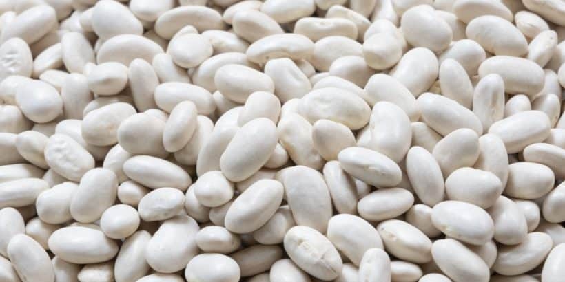 Large White Kidney Beans: Prices Fall Back Slightly