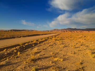 agriculture land desert