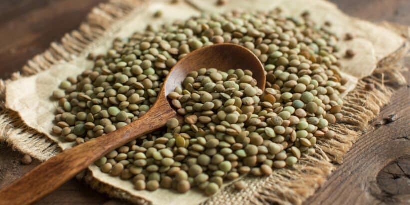 Green Lentil