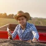 farmer sunflower seeds harvest trailer field checking