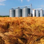 Amid Reduced Crop, Ample Malting Barley Supply Expected for Beer and Whiskey Production in FY2023/24