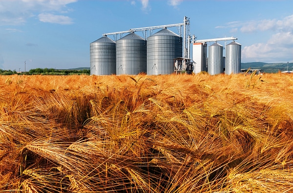 Amid Reduced Crop, Ample Malting Barley Supply Expected for Beer and Whiskey Production in FY2023/24