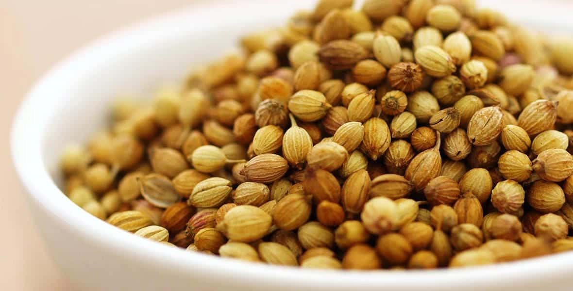 India Coriander Prices Improved This Month Commodity Board Europe GmbH