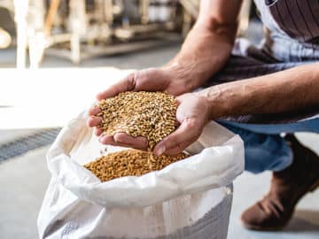 wheat Türkiye to Raise Customs Duty on Wheat Imports to 130 Percent