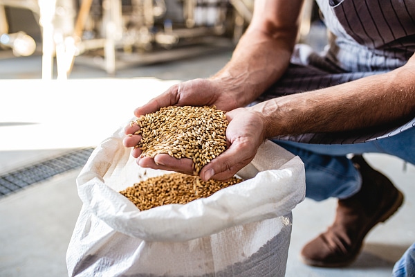 wheat Türkiye to Raise Customs Duty on Wheat Imports to 130 Percent