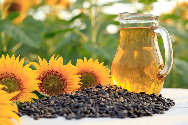 Conditions for Automatic Licensing of Sunflower Exports Set