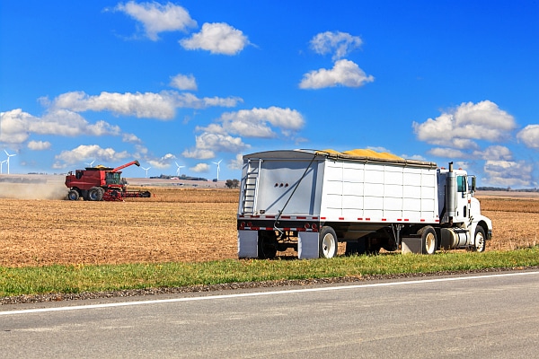 soybean field US - EU Increased Soya and Rapeseed Crushing in July