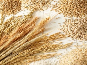 cereals and grains grain markets