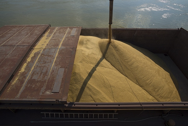 wheat loading vessel Grain Initiative: Inspections Almost Stopped but Is There a Plan B? Hungary to Unilaterally Maintain Ban on Grain and Oilseed Imports From Ukraine