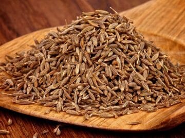 Jeera Cumin Seed