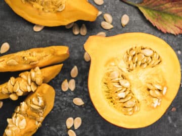Pumpkin Kernels