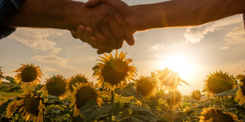 Kazakhstan's Sunflower Oil Venture: Strengthening Agricultural Ties with Azerbaijan