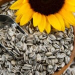 Sunflower Seeds