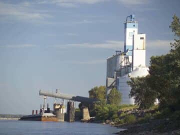 Soybeans Ready to Transport