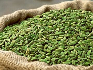 Prospects of a Resurgence in the Small Cardamom Market