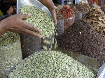 Cardamom Chronicles: Harvest Hopes and Market Mysteries