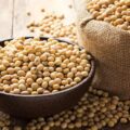 China to Increase Brazilian Soybean Imports - Navigating Soybean Crop Challenges in the Face of Elusive Rainfall - Soybean Prospects in Peril: Praying for Precipitation