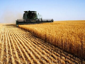 Ukraine May Harvest 36% Less Grain and Oilseeds Than Before the Invasion Barley and Wheat Harvest Starts in France