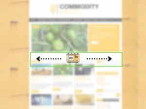 Display multi-screen, content-related above headline, monthly