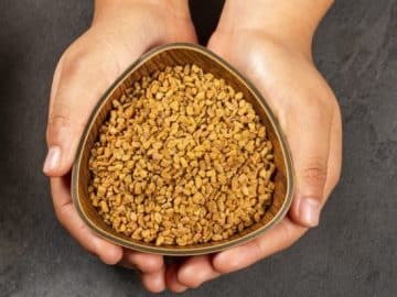 fenugreek