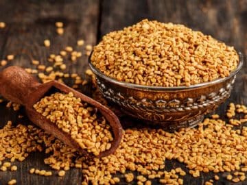 Fenugreek