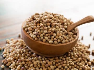 Coriander Oversupply in India Leads to Recession in May and June - Sowing Delays Cast Shadows on Market Dynamics of Coriander