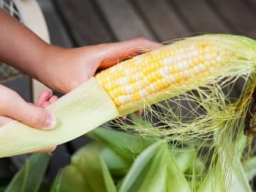 Corn market