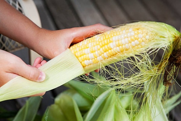 Corn market