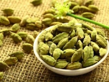 Cardamom