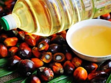 Palm Oil Indonesia Malaysia Reduced Exports of Oil Palm Products in May Indonesia